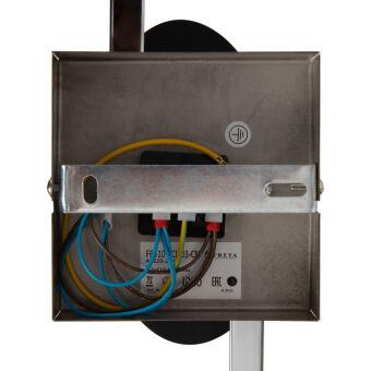 Накладная люстра Freya FR5101-CL-03-CN