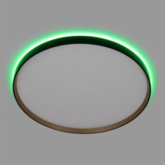 Накладной светильник Citilux CL750501R