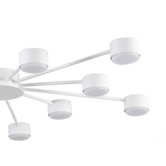 Накладная люстра LUMION 8343/12C