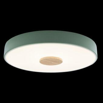 Потолочный детский светильник LOFT IT 10003/24 Green