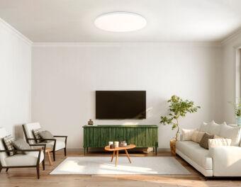 Накладной светильник Ambrella Light FZ2003