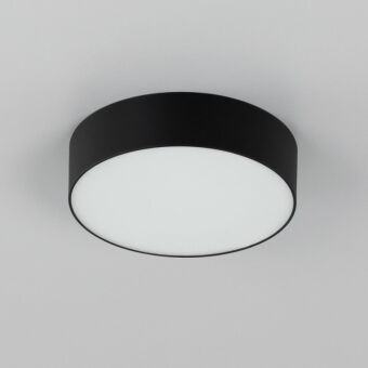 Накладной светильник Citilux CL712122N