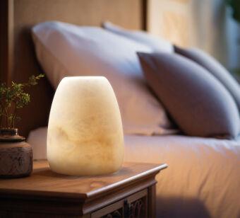 Настольная лампа Fluorite FL1036-3T