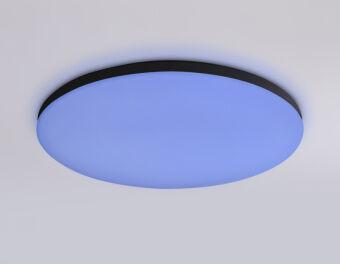 Накладной светильник Ambrella Light FZ2004