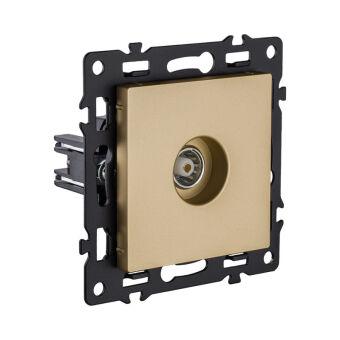 Розетка KOLLINGER AS-021GD