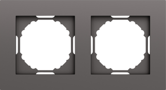 Рамка 2-я, матовый титан, серия A07