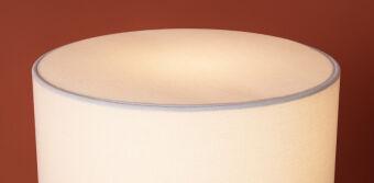 Настольная лампа Freya FR2054TL-01BS1