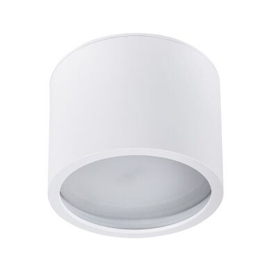   ARTE Lamp A5543PL-1WH