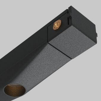 Светильник на шине Maytoni Technical TR175-1-24WTW-M-B