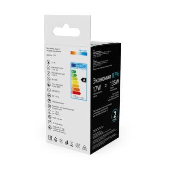 Светодиодная лампа Gauss 10212272