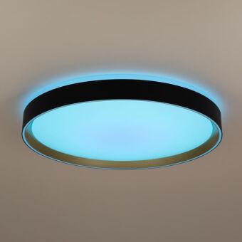 Накладной светильник Citilux CL751451G