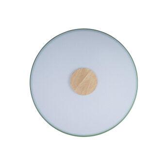 Потолочный детский светильник LOFT IT 10003/24 Green