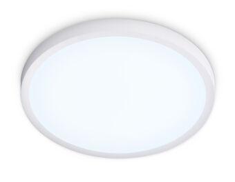 Накладной светильник Ambrella Light FZ1951