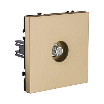 Розетка KOLLINGER EC-020GD