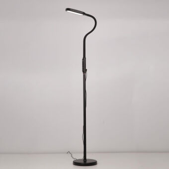 Торшер Citilux CL804021