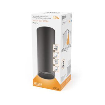 Накладной светильник Gauss HD029