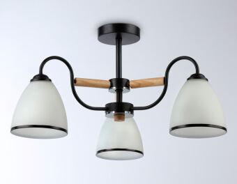 Накладной светильник Ambrella Light TR3033241