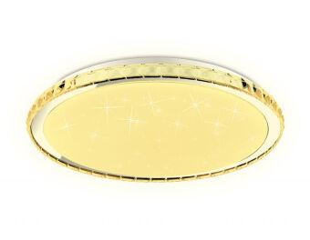 Накладной светильник Ambrella Light FF501