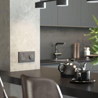 Выключатель Werkel W1120164