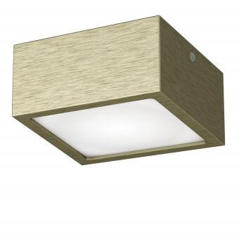 Влагозащищенный светильник Lightstar 213921