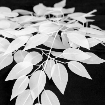 Подвесная люстра Lussole LSP-8986