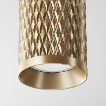 Накладной светильник Maytoni Technical C036CL-01G