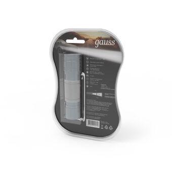 Фонарь Gauss GF106