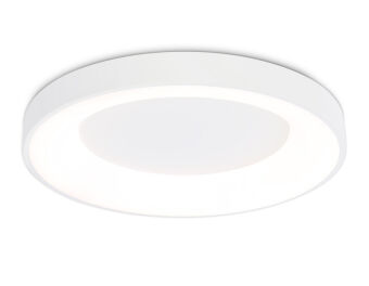 Накладной светильник Ambrella Light FZ1401