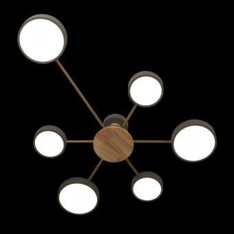 Накладной светильник LOFT IT 10316/6 Grey