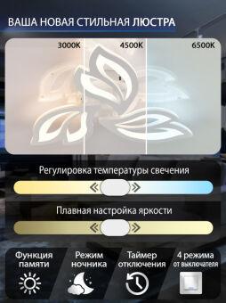 Накладной светильник Natali Kovaltseva LED LAMPS 81426