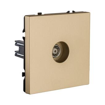 Розетка KOLLINGER EC-021GD