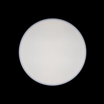 Накладной светильник LOFT IT 10002/24 White