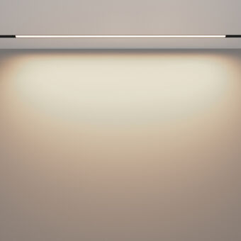 Светильник на шине Maytoni Technical TR030-4-30W3K-WW-DS-B