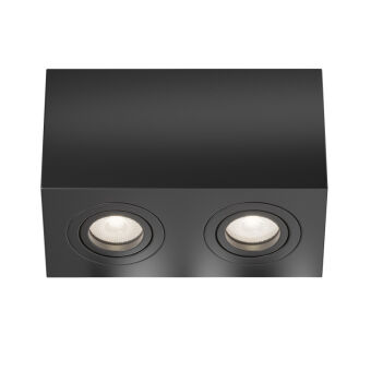 Накладной светильник Maytoni Technical C017CL-02B