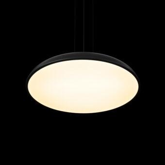 Подвесной светильник LOFT IT 10371P Black