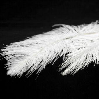 Подвесная люстра Lussole LSP-8601