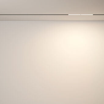 Светильник на шине Maytoni Technical TR106-2-12W3K-B