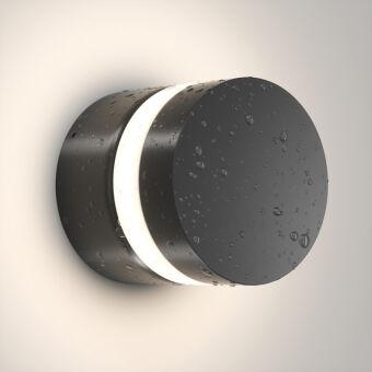 Светильник настенный Denkirs DK9810-BK