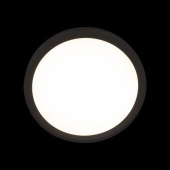 Накладной светильник LOFT IT 10227/24 Black