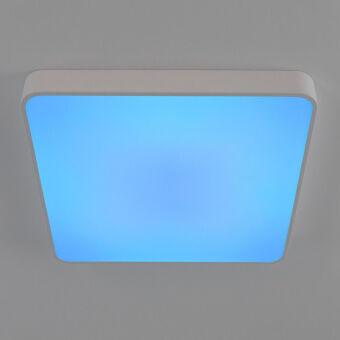 Накладной светильник Citilux CL724K95G0