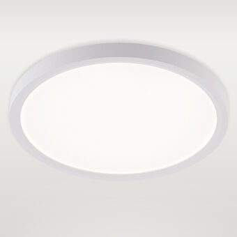 Накладной светильник Natali Kovaltseva LED LAMPS 81113/2C