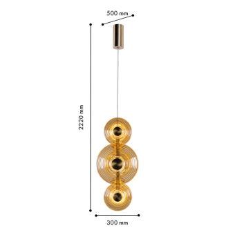 Подвесной светильник Favourite 4571-6P