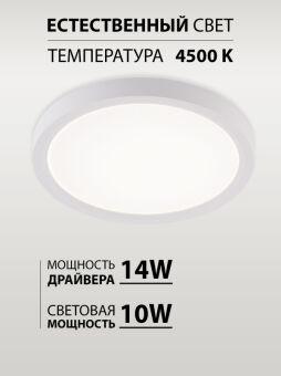 Накладной светильник Natali Kovaltseva LED LAMPS 81113/1C
