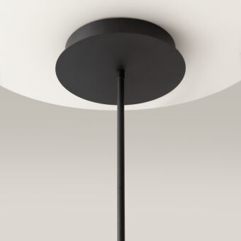 Люстра на штанге Maytoni MOD016PL-L52BK