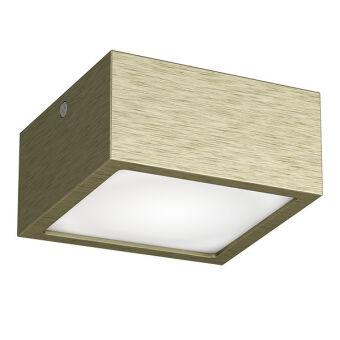 Влагозащищенный светильник Lightstar 213921