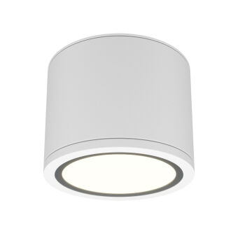 Накладной светильник Maytoni Technical C095CL-GX53-W