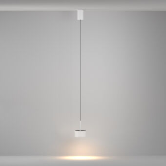 Подвесной светильник Maytoni Technical P102PL-12W3K-W