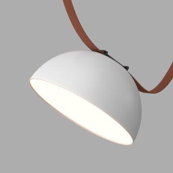 Светильник на шине Denkirs DK5660-WH+BK