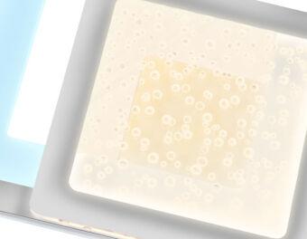 Бра Ambrella Light FA426