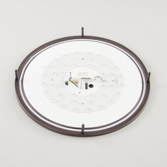 Накладной светильник Citilux CL709505N